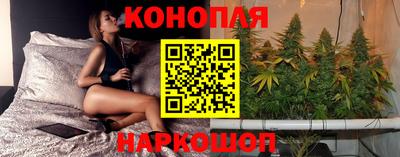 твердый Новозыбков