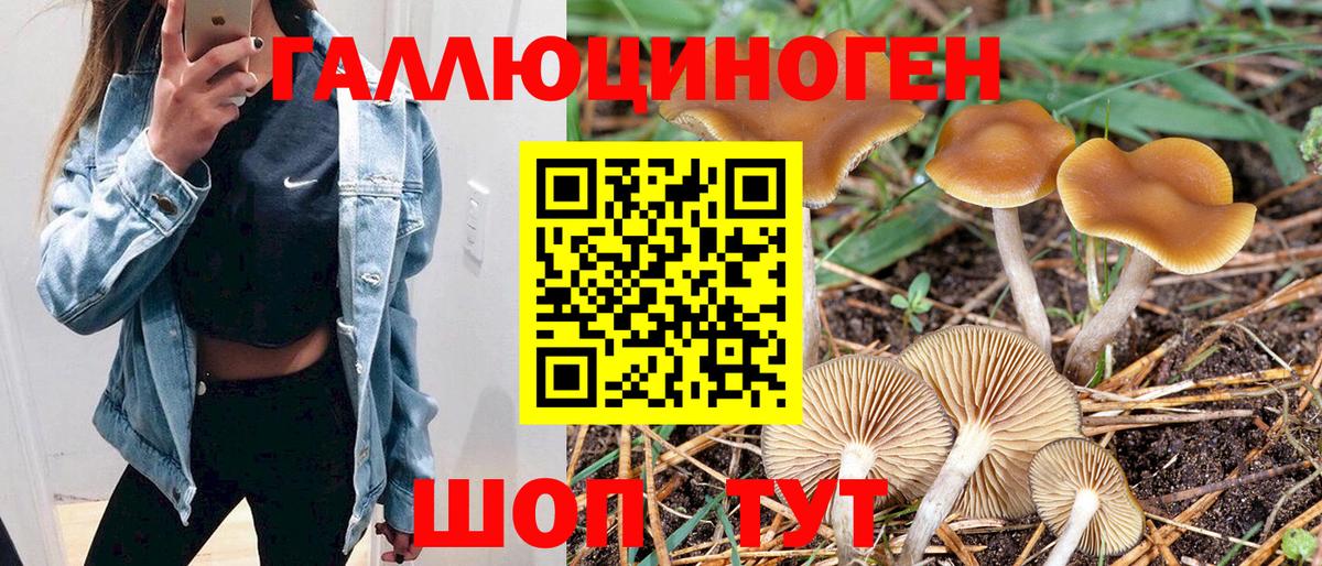Псилоцибиновые грибы Psilocybe  Вход с VPN  Среднеуральск 
